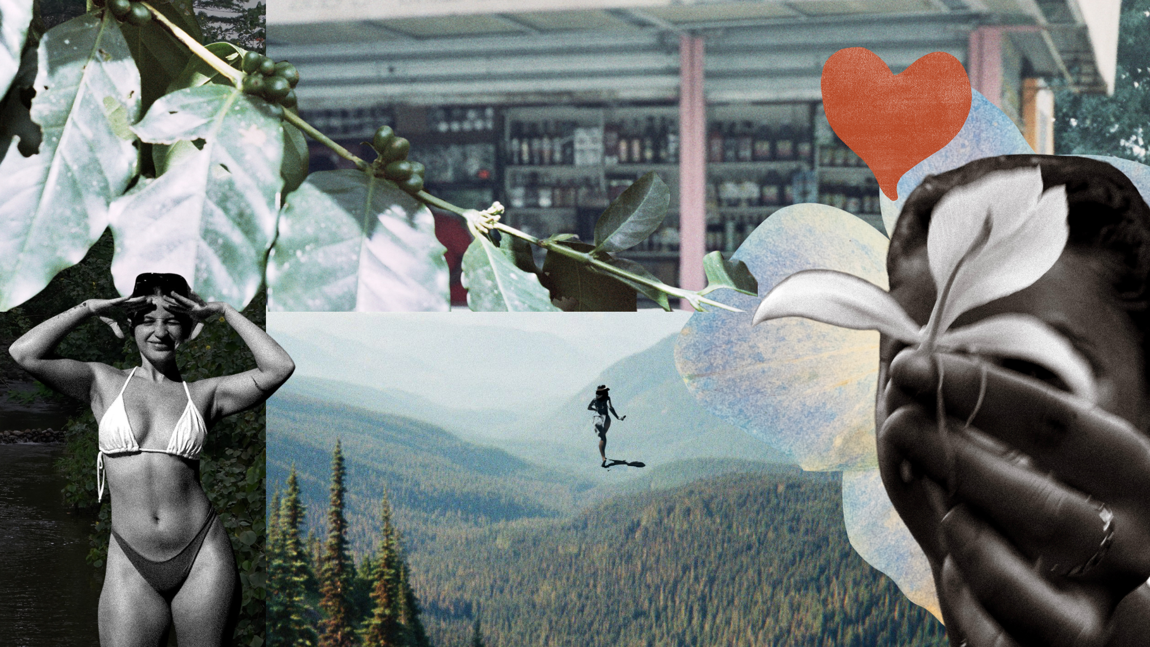 BNB Collage of Skincare and Natural Scenery